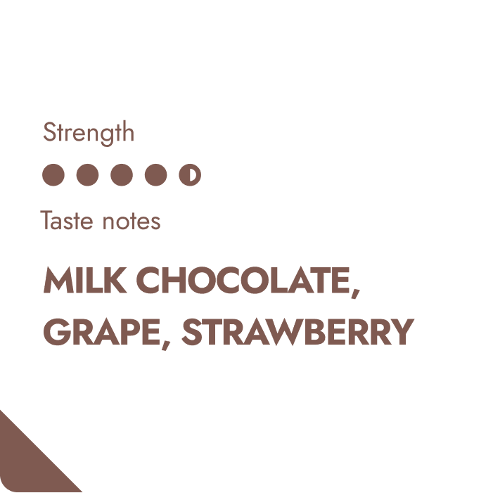 COLOMBIA SPECIALTY COFFEE BEANS