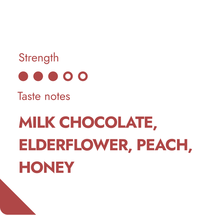 COSTA RICA SPECIALTY COFFEE BEANS