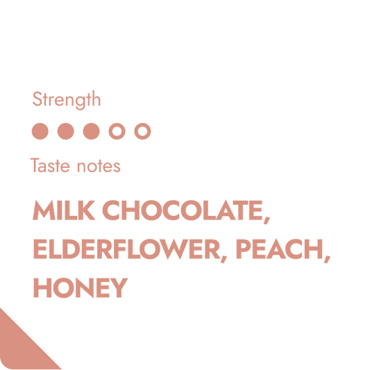 HONDURAS SPECIALTY COFFEE BEANS