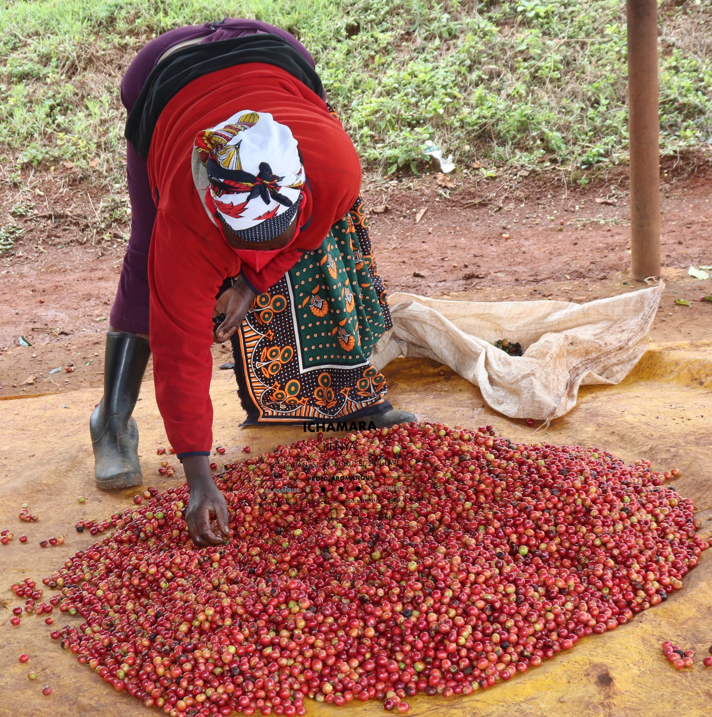 SENTIŌ – Kenya Ichamara