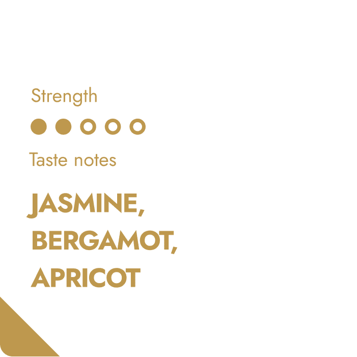 ETHIOPIA SPECIALTY COFFEE BEANS