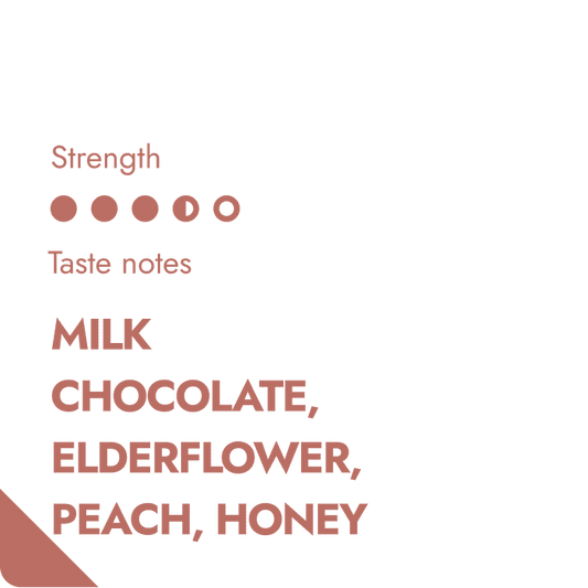 GUATEMALA SPECIALTY COFFEE BEANS